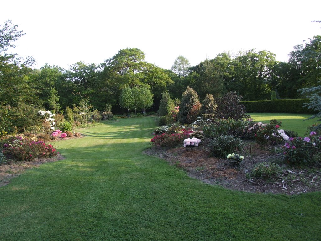 Llwyngarreg garden   