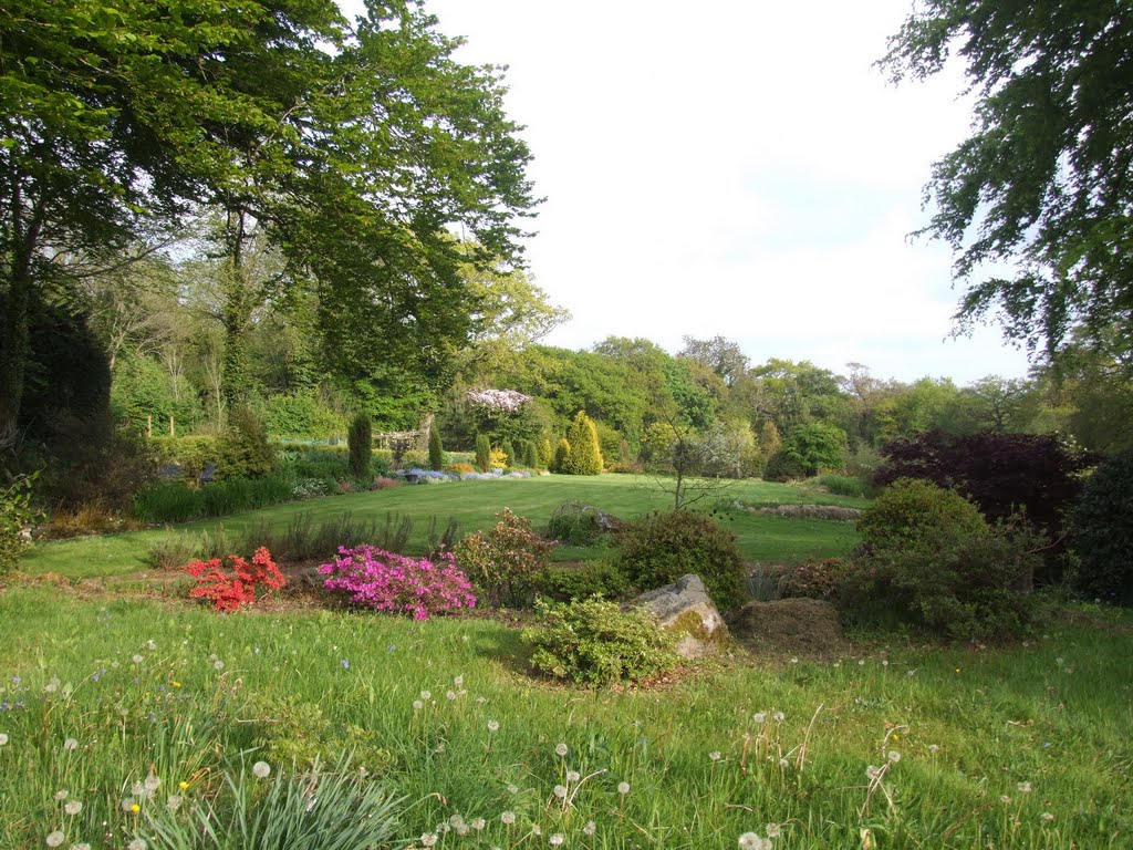 Llwyngarreg Garden