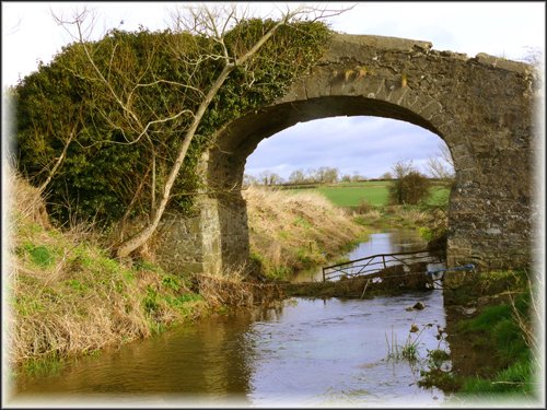 Disused bridge on Newry Canal near Poyntzpass
