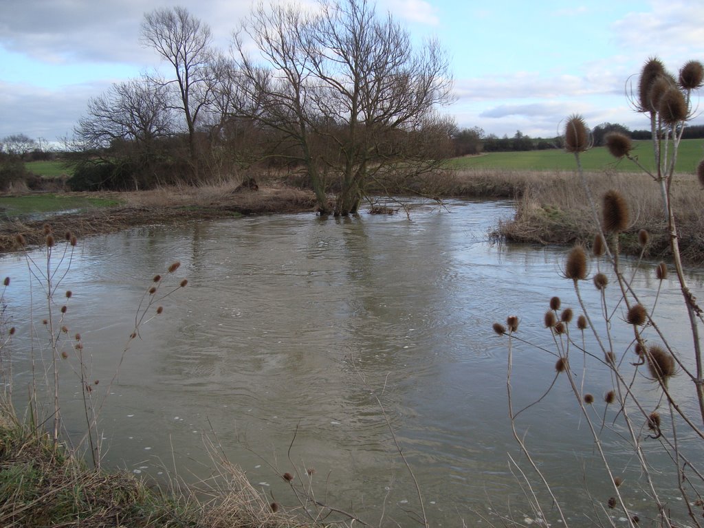 River Roding in flood